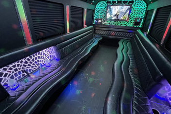 Reading Limo Bus Interior